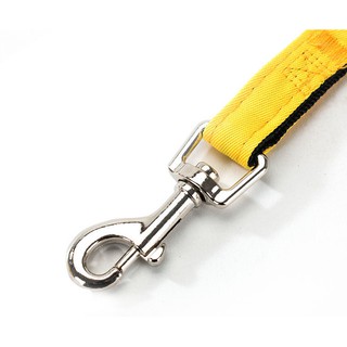 Dây dắt chó mèo hình chị ong nâu - Dắt bee
