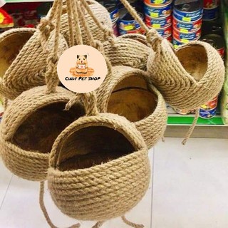 Ổ ngủ cho Bọ, Hamster, Sóc Bay Úc, Sóc Bông, Sóc Đất...