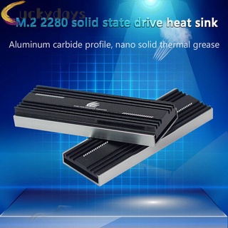 LUCKYDAYS M.2 SSD Heatsink Cooler M2 2280 Solid State Hard Disk Radiator Thermal Pad
