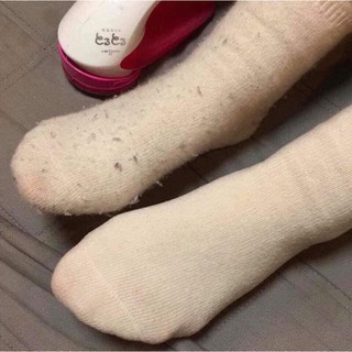 Máy cắt lông xù Nhật