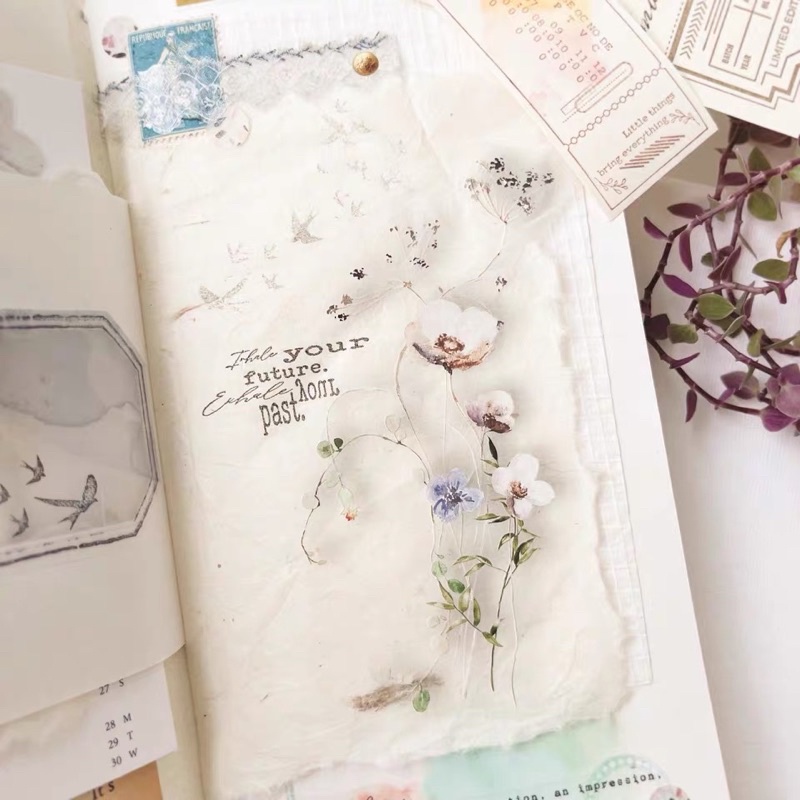 Bulletjournal115 Tape JNP chiết dạng pet hình hoa và chim