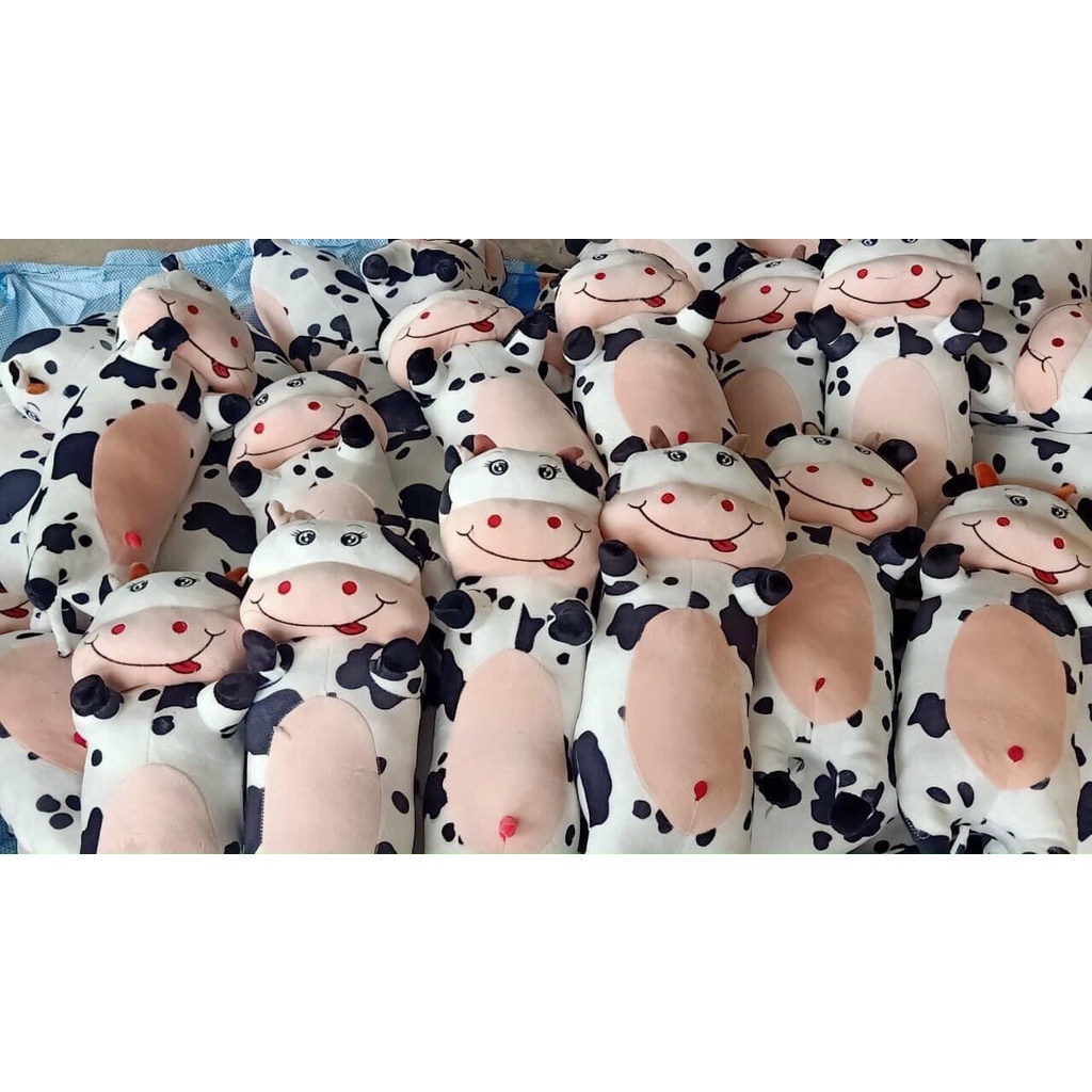 ❤️Giá Xưởng❤️Gấu bông , nhiều hình dễ thương  co giãn SiZe 45-65cm