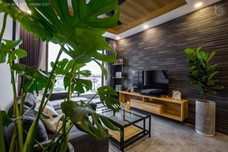 Trầu bà Nam Mỹ