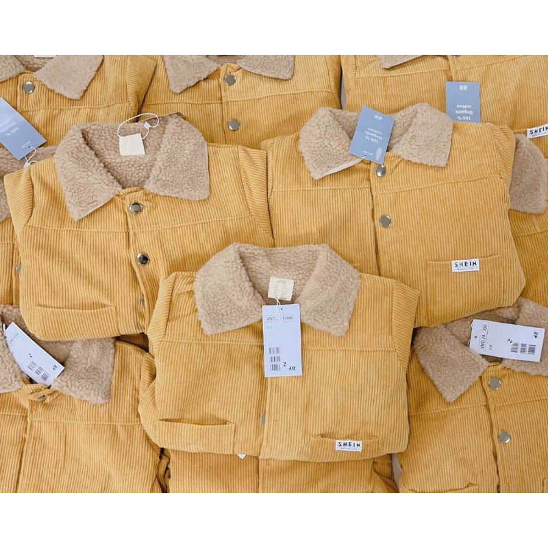 Áo nhung tăm vàng cổ lông lót lông cho bé