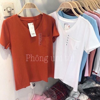 Combo áo pull
