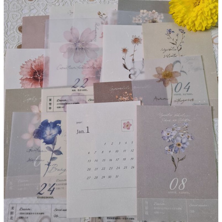 Krisna.room ♡ Set 20 tờ lịch hoa lá xinh xắn của Freckles Tea