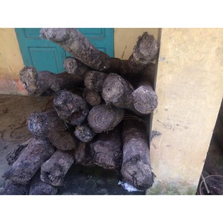 [NGUYÊN CHẤT] Cao Gắm 100g