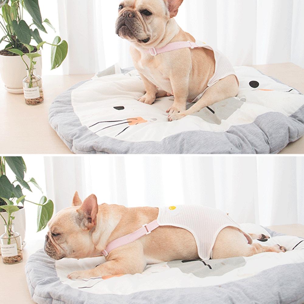 Quần Tã Cotton Dễ Thương Cho Cún Cưng