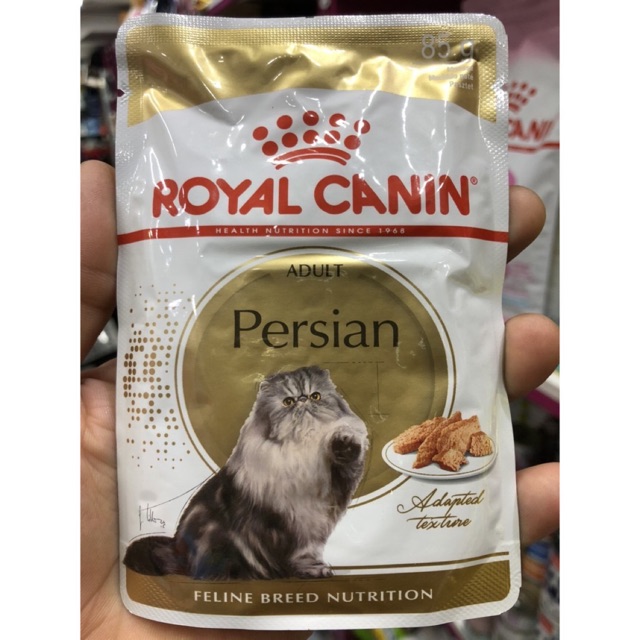 Pate Royal Canin Persian cho mèo anh lông dài