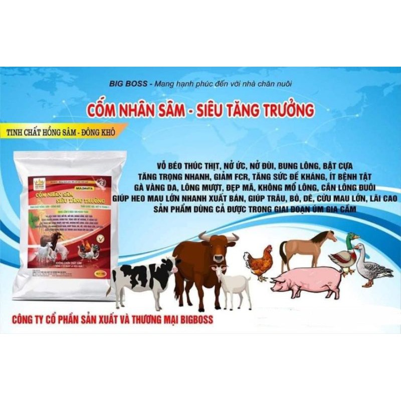 CỐM NHÂN SÂM-SIÊU TĂNG TRƯỞNG 1kg/gói