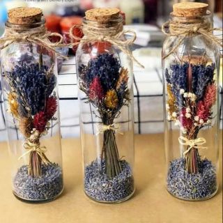 Lọ ước hoa baby- quà tặng hoa khô handmade
