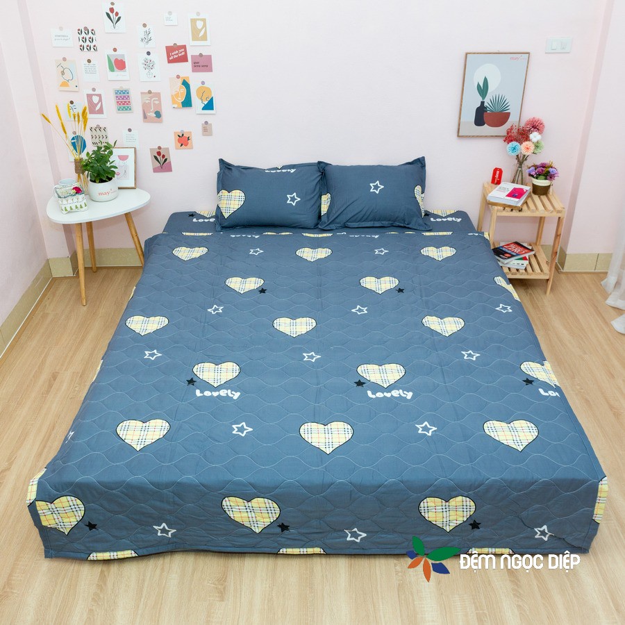 Chăn Hè Poly Cotton Trần Bông (Mền) Nhiều Mẫu | BigBuy360 - bigbuy360.vn