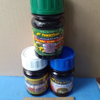 Phân cá PowerFeed - Mập mầm, to hoa, dày cánh (Chai 100ml)