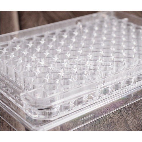 Đĩa elisa, đĩa nuôi cấy tế bào 96 giếng đáy U,V, đáy phẳng