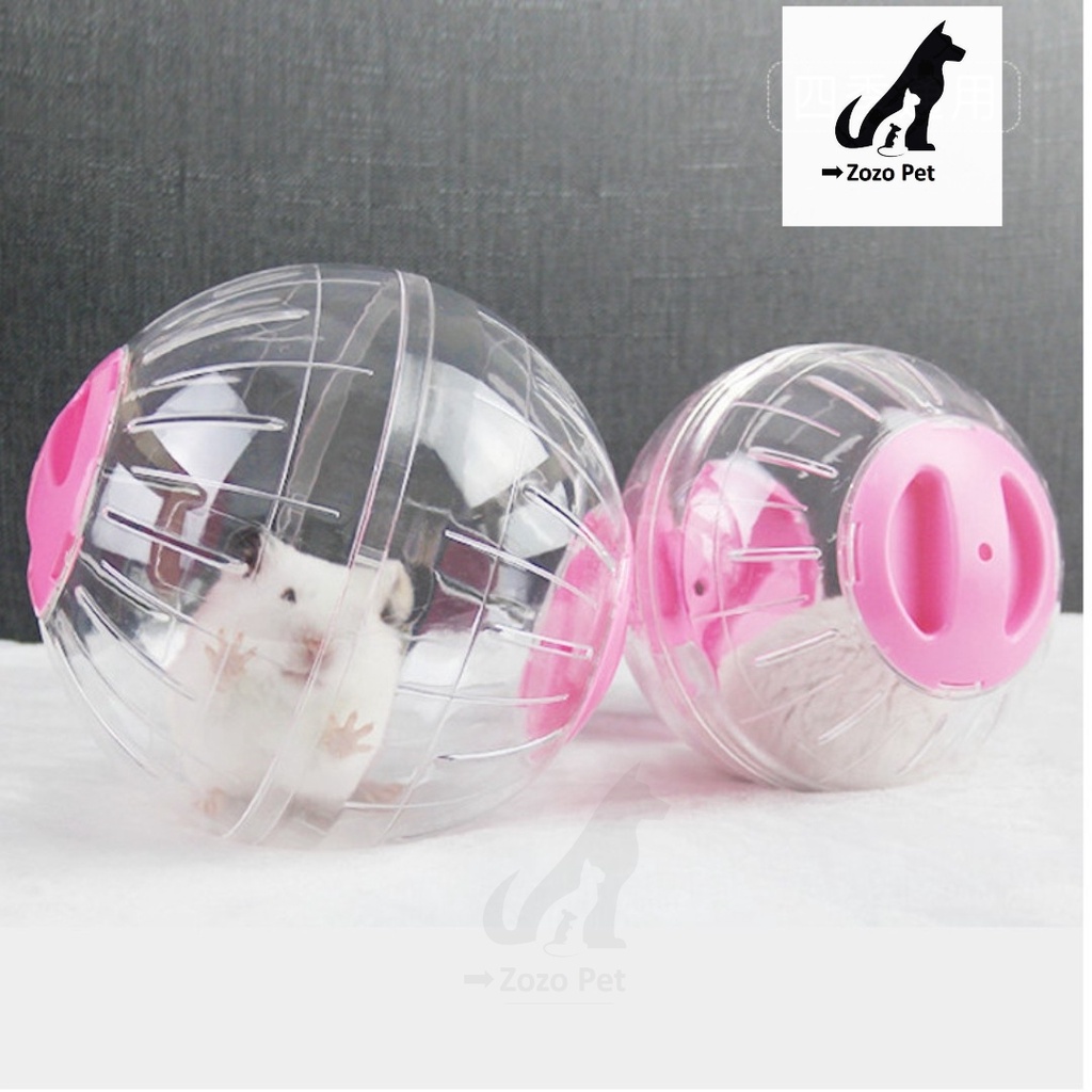 Bóng chạy mika hamster