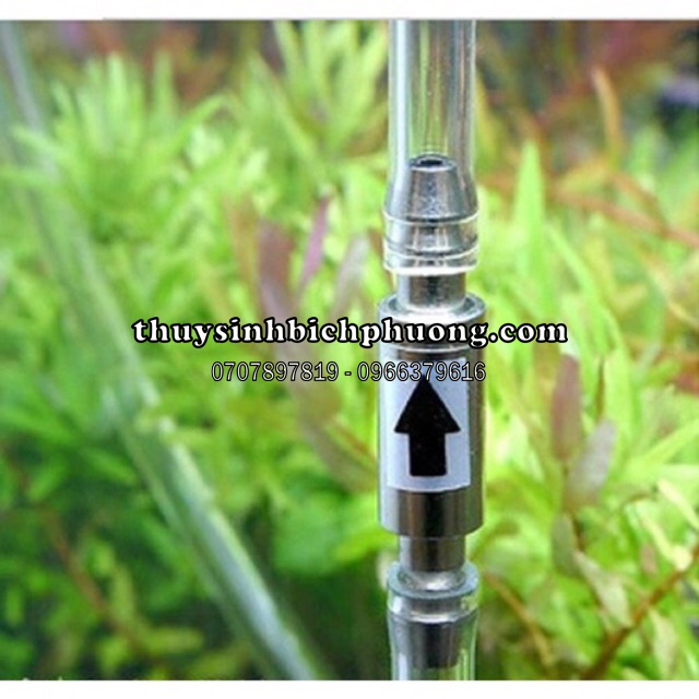 VAN 1 CHIỀU INOX - CHẶN NƯỚC TRÀO NGƯỢC VÀO BÌNH CO2