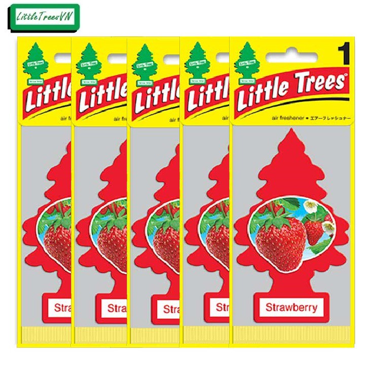 COMBO 5 CÂY THÔNG THƠM LITTLE TREES - Strawberry