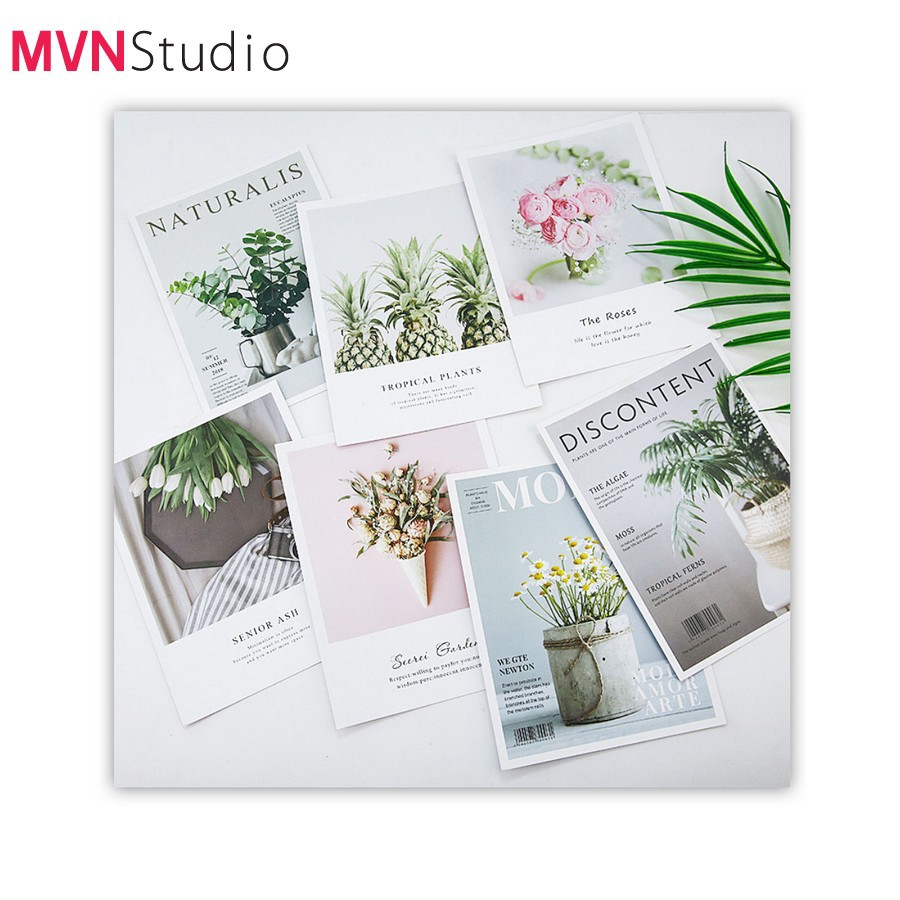 MVN Studio - 9 mẫu bìa tạp chí đẹp sang trọng tinh tế dùng làm đạo cụ chụp ảnh decor