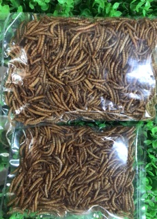 Sâu khô rang size to