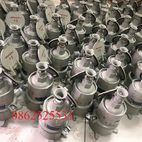 Phích cắm ổ cắm phòng chống cháy nổ BCX53-15Z