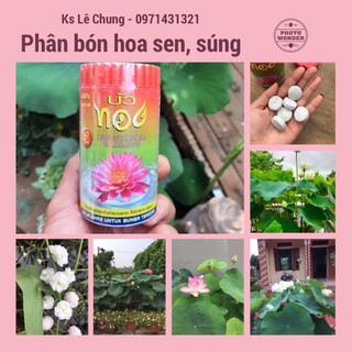 [Lọ 50 viên] Phân bón cây hoa sen, hoa súng, hoa bách thuỷ tiên