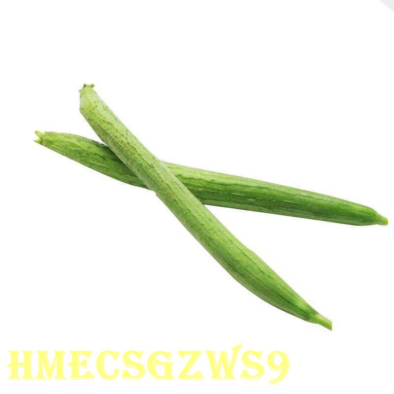 Hạt giống mướp hương quả dài  Tỷ lệ nảy mầm lên đến 90% 10h