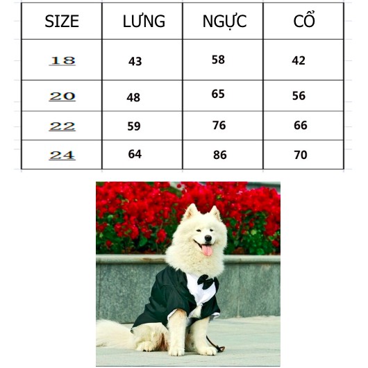 ÁO VEST CHO CHÓ LỚN 12KG - 35KG