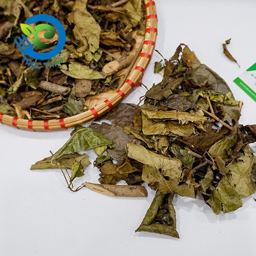 Cây xạ đen Hòa Bình sấy khô thanh nhiệt