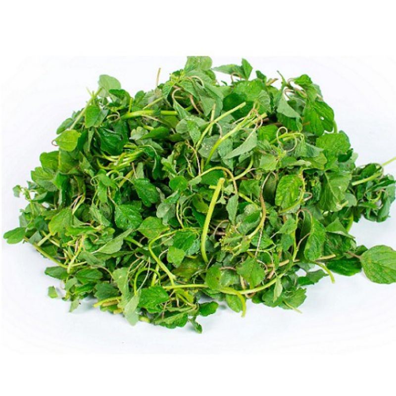 Hạt giống rau dền cơm