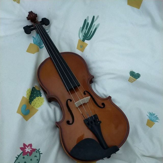 Đàn violin ( vĩ cầm) size 4/4 ( gỗ nguyên tấm vân sàn RV250 - cả bộ đàn, hộp, vĩ và rosin nhựa thông) Có ảnh thật