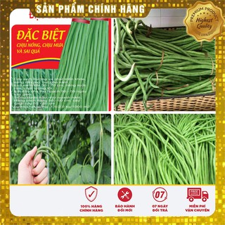 Hạt Giống Đậu Đũa Xanh(20gr)