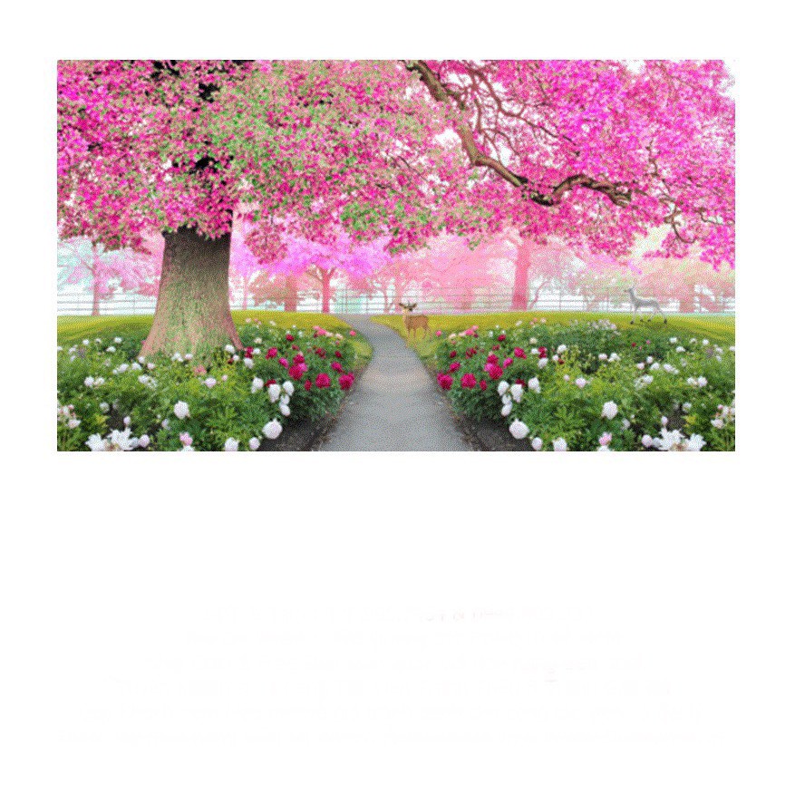 Tranh thêu chữ thập Phong cảnh cây tình yêu cây hồng 3D LV3119_Chưa thêu