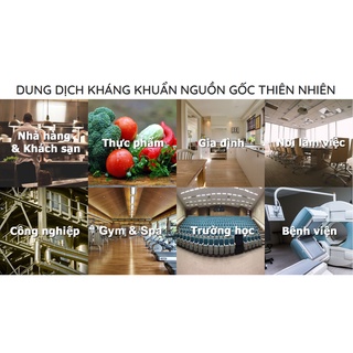Dung dịch sát khuẩn 500ml EXMICROR PLUS ®