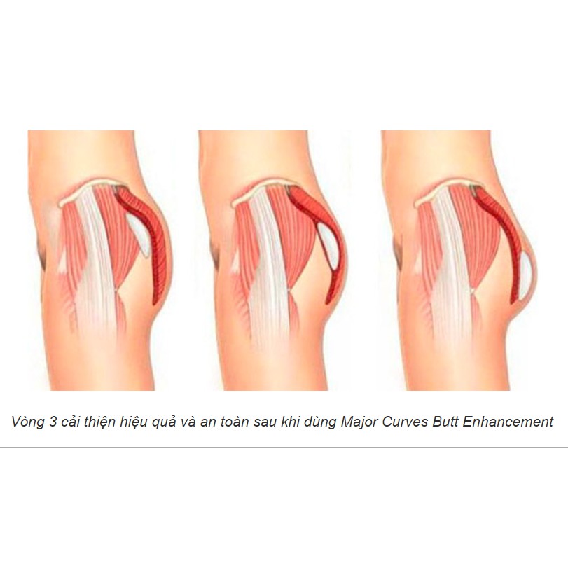 Viên Uống Hỗ Trợ Nở Mông Tăng Vòng Ba Hiệu Quả Major Curves Butt Enhancement