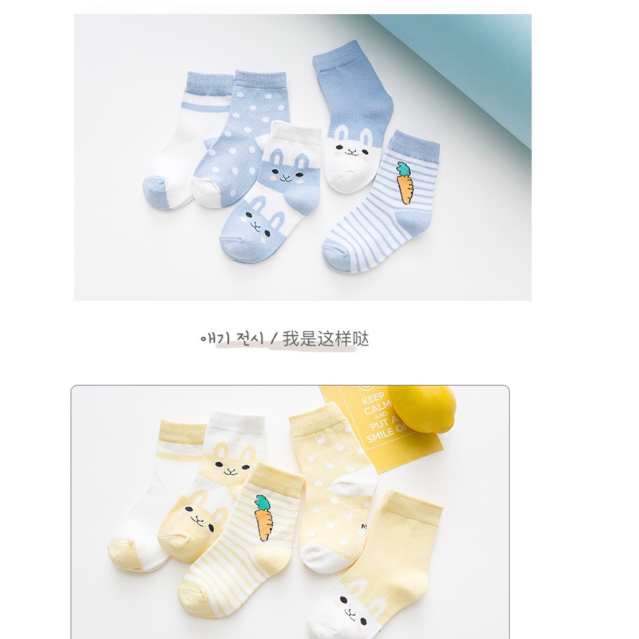 Set 5 đôi Tất cổ chân Hàn Quốc màu ngộ nghĩnh.