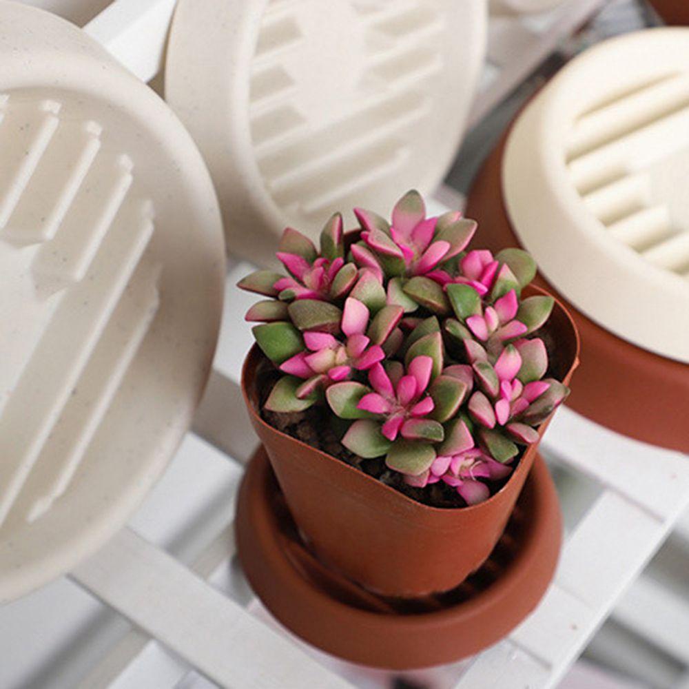 LEISURE Bộ 5 Giá Đỡ Chậu Hoa Bonsai Hình Tròn Dùng Trang Trí Nhà Cửa