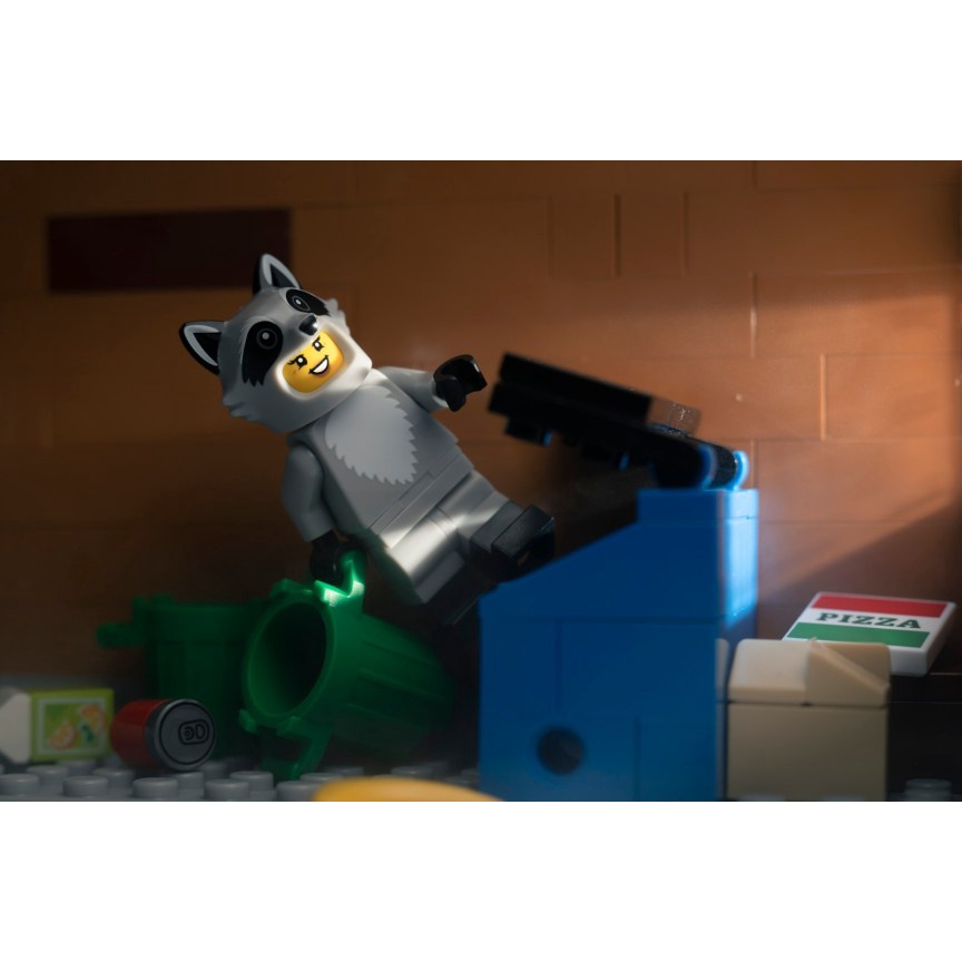 Nhân vật LEGO Minifigures 22 71032 Racoon Costume Fan - Fan với trang phục chú chồn NEWSEAL