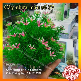 Cây nhựa trang trí bể cá , hồ cá mẫu 37