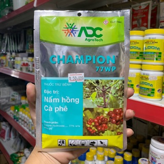 CHAMPION 77WP - đặc trị nấm hồng, cháy lá trên HOA MAI