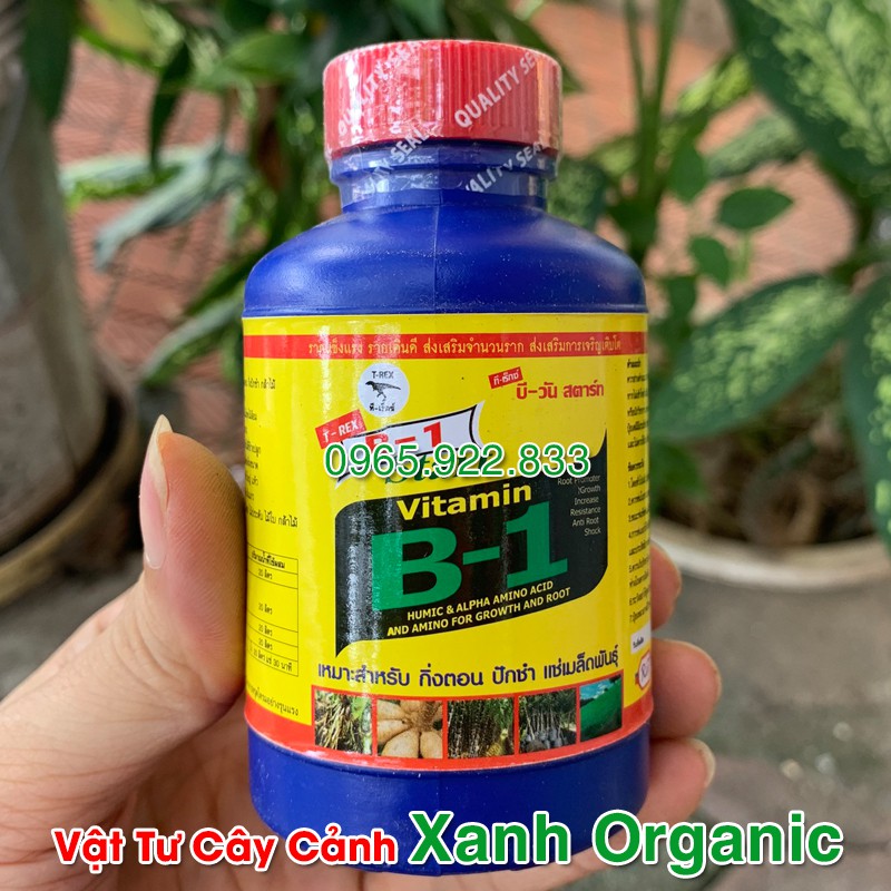 Vitamin B1 Thái Bón lá Kích rễ Hoa lan, cây cảnh Hàng Chuẩn