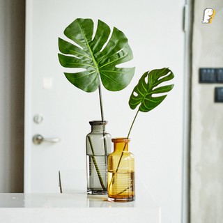 [Hàng có sẵn] Lá monstera trang trí