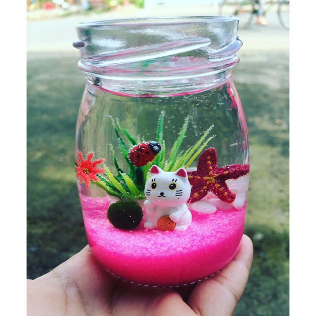 Set Marimo mèo may mắn