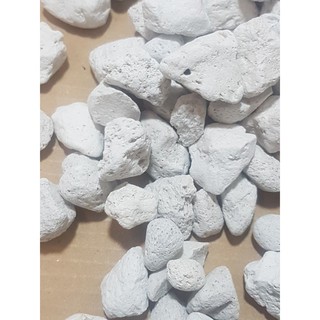 {GIÁ TẬN GỐC } Đá Bọt Indo giá thể trồng Lan, sen đá, cây cảnh, thủy sinh [Hàng đẹp]