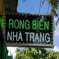 Rong Biển Nha Trang