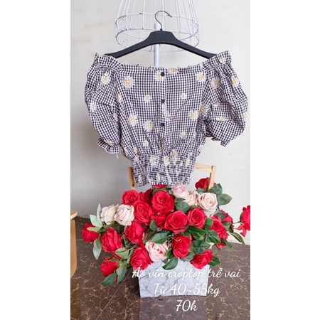 Áo vin dáng croptop