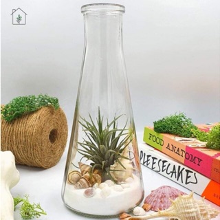chai thuỷ tinh 350ml hình nón nắp gỗ ép