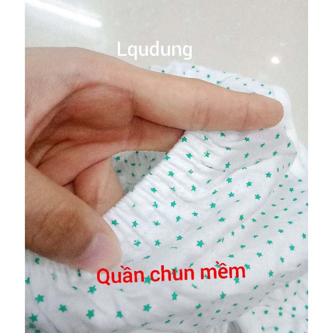 Quần lót người già, quần bà già, phụ nữ mang bầu họa tiết chấm sao vải cotton