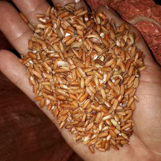 combo 4 kg lứt dẻo cho khách (140k)