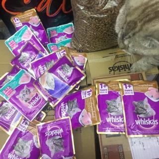 Patê whiskas thùng 24 gói
