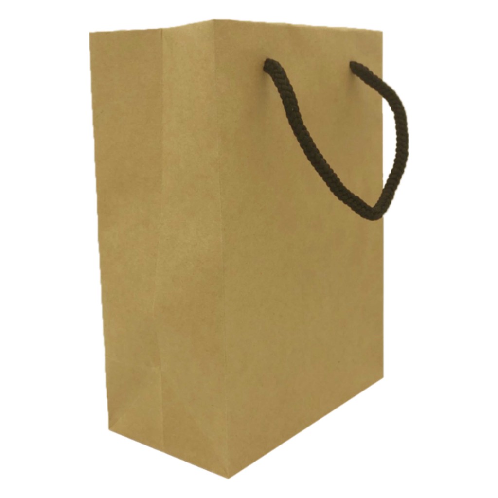 Túi giấy Kraft trơn size trung, túi đứng - Phụ kiện Halu